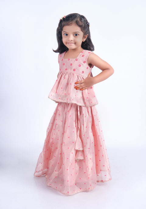 Pink tissue chanderi lehenga set