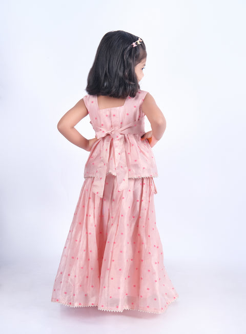 Pink tissue chanderi lehenga set