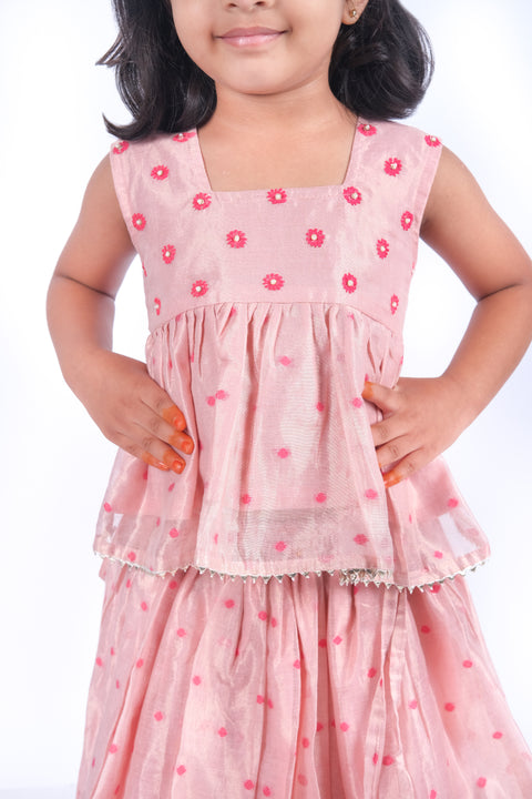 Pink tissue chanderi lehenga set