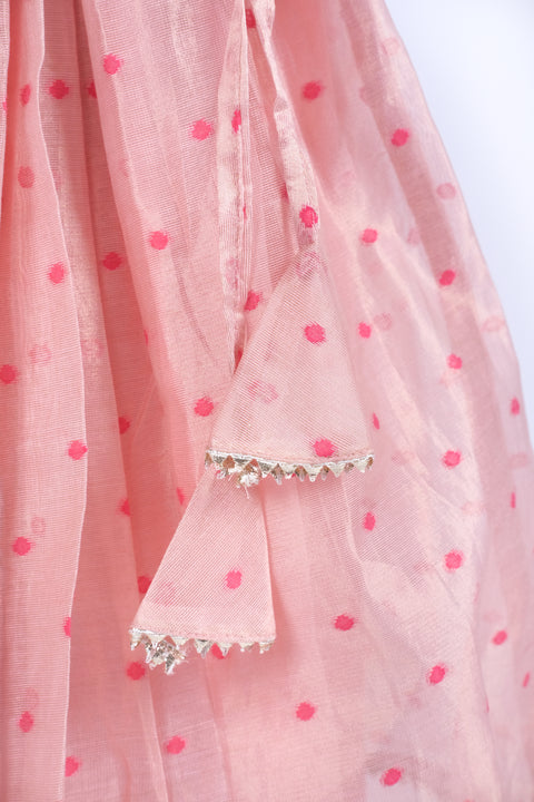 Pink tissue chanderi lehenga set