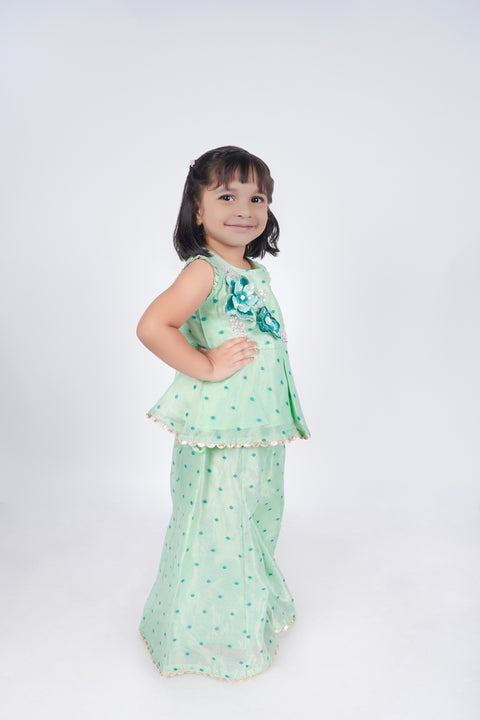 Sea Green Peplum Top with Flared Kali Palazzo