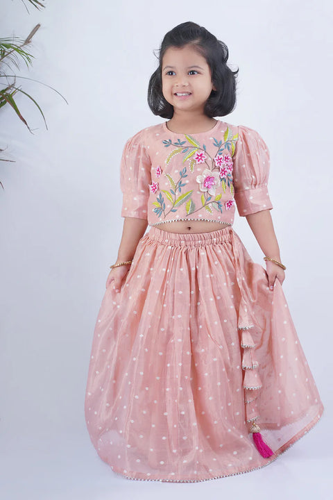 Peach Lehenga Set & Peach Kurta Pajama