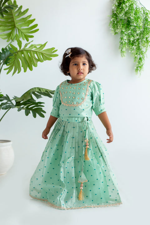 Green Lehenga Set