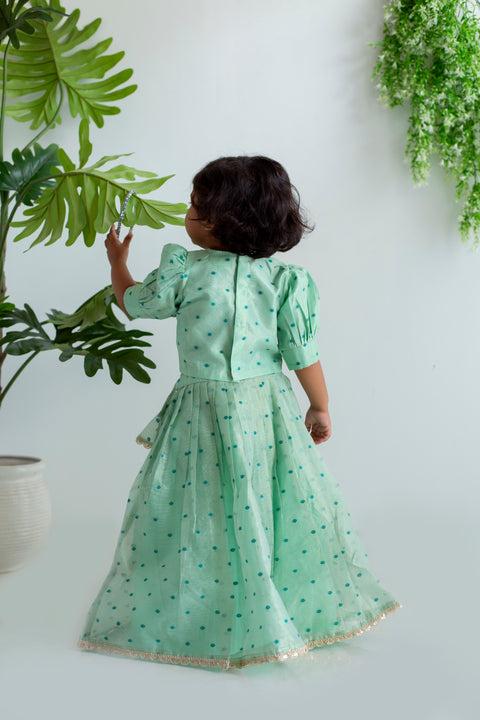 Green Lehenga Set