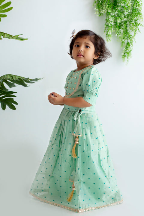 Green Lehenga Set