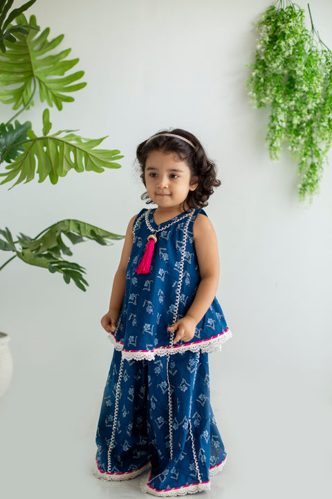 Blue Flared Sharara set