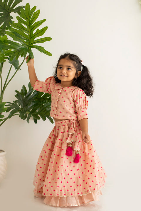 Peach embroidery lehenga set
