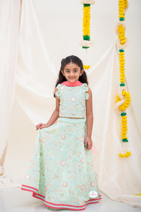 Green Embroidery Lehanga - My Store