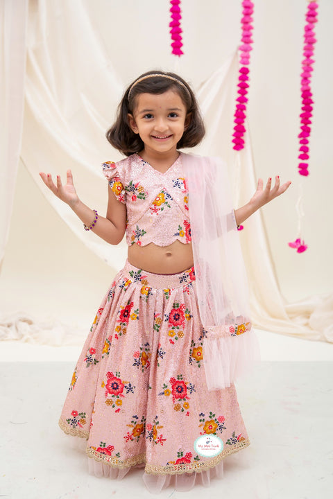 Ash Pink Embroidery lehenga Set - My Store