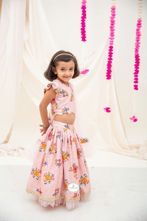 Ash Pink Embroidery lehenga Set - My Store