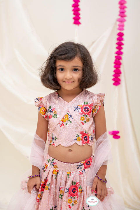 Ash Pink Embroidery lehenga Set - My Store