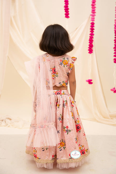 Ash Pink Embroidery lehenga Set - My Store