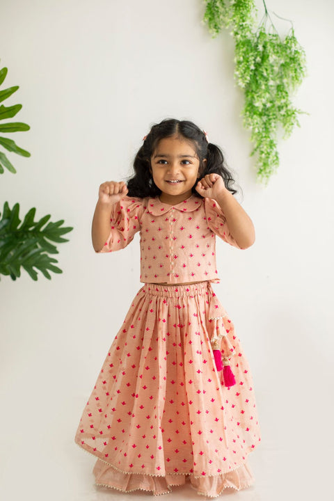 Peach embroidery lehenga set
