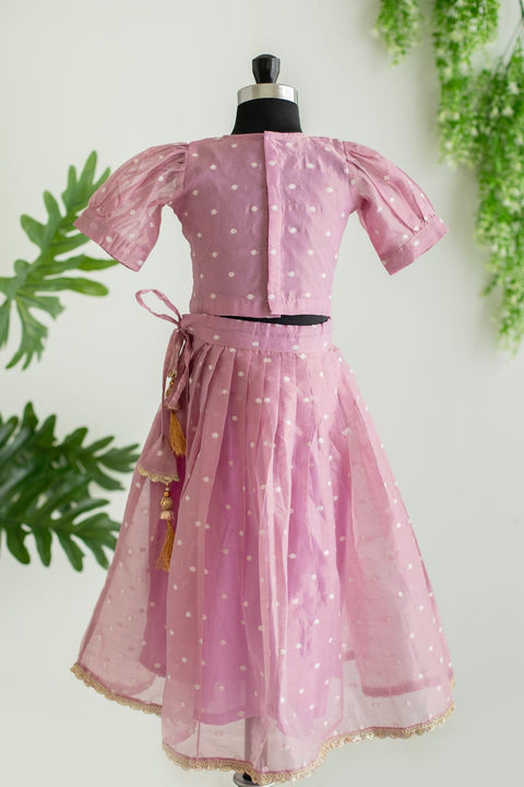 Lilac chanderi lehenga