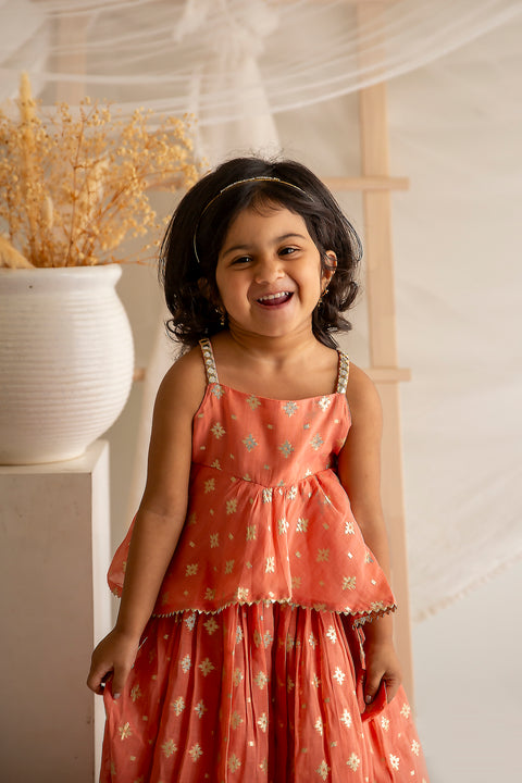 Peach Chanderi Lehenga Set