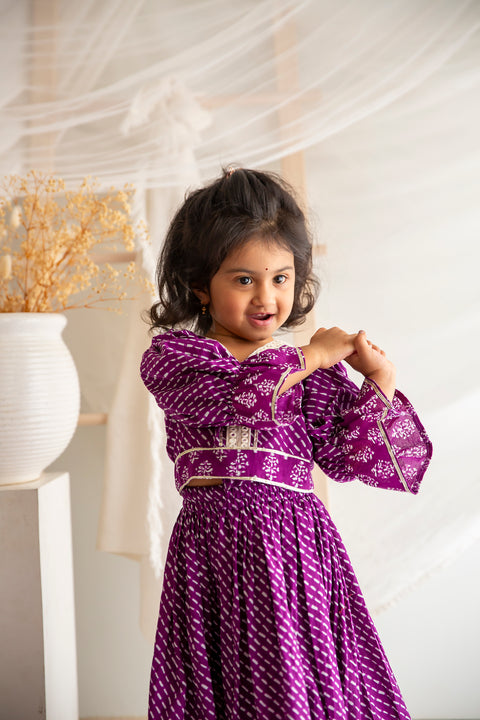 Purple Lehenga Set
